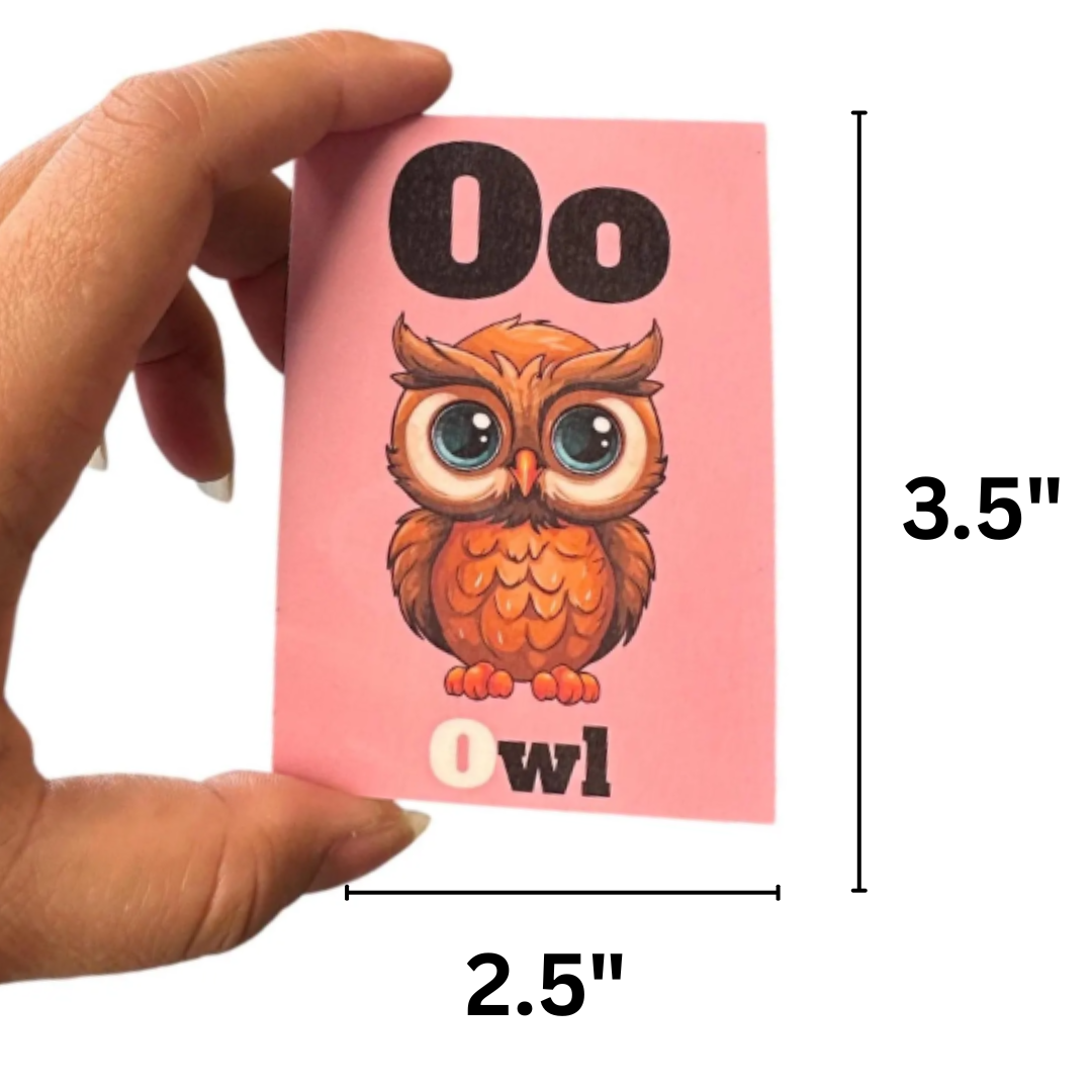Kids Alphabet Ref Magnet