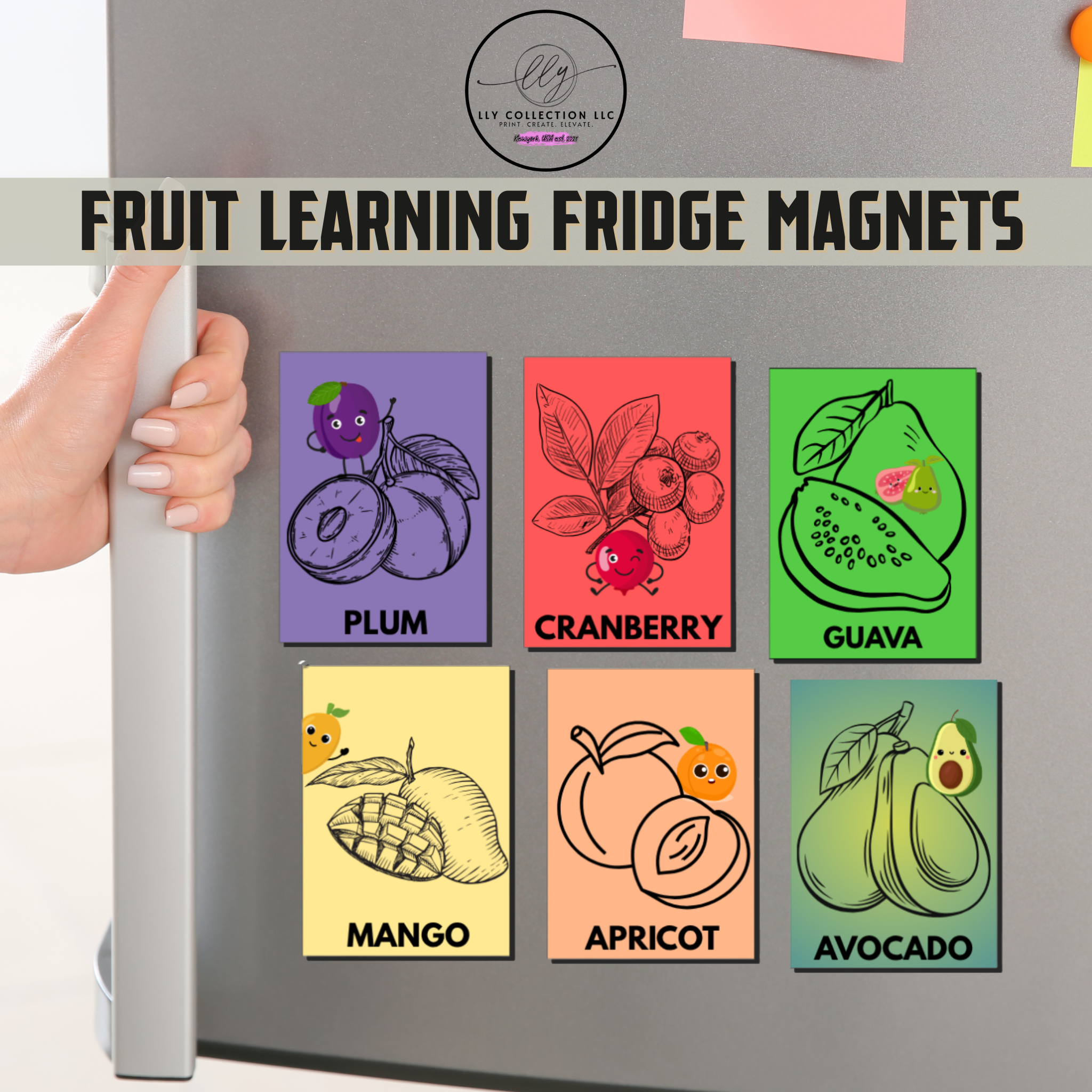 Fruit Learning Fridge Magnets for Kids